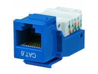 Blue rj45 cat6 jack