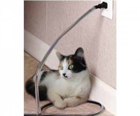 how to stop my cat chewing wires