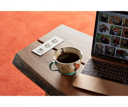 Byrne Dot in-surface 2 power outlet, 1 usb, mounted in desk