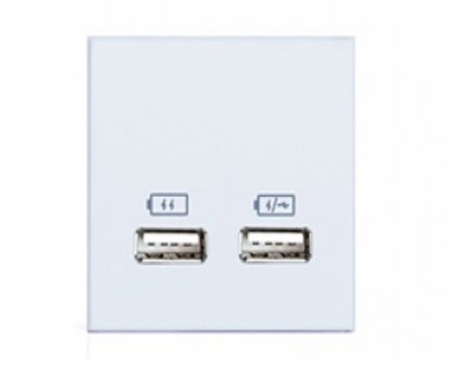 White twin usb charger rubbery in surface power and data grommet , ta-3377-50wh